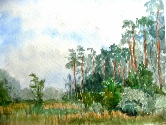 Rangsdorfer Wald (1981)