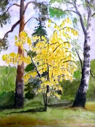 Waldstück II (1997)