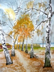 Birkenwerg am Rangsdorfer Strand im Herbst (2014)