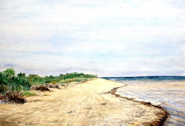 Am Strand von Grieben (Hiddensee) (1966)