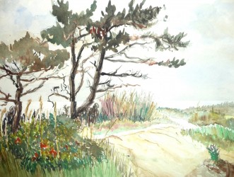 Kiefern auf Hiddensee (1970)