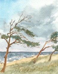 Windflüchter an der Ostsee (2006)